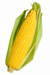 corny corn