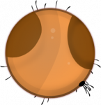 this image best describes the main new goo ball: maple!!! :)