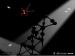 Without light...