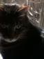 keeleybird11's picture