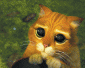 Aerallo's picture