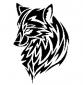 FredyDourado13's picture