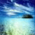 Zelenakok's picture