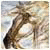 Donaldlency's picture