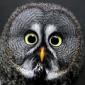 Alexander112's picture