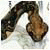 Antonioala's picture
