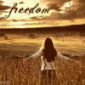 mohsOpent's picture