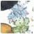 Veravom's picture