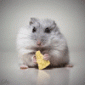 Viktoriuay's picture