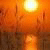 JaimeRob's picture