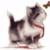 Angelatig's picture