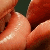 foxOpent's picture