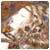 Irinnov's picture