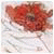 Evactc's picture
