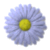 Evabra's picture