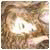 Vikivkt's picture