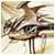 Evamjr's picture