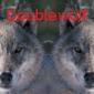 Doublewolf's picture