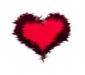 rishiraj1992's picture