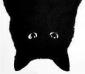 Mog's picture