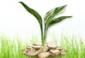 finanzas's picture